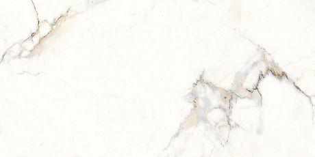   P3211112136G