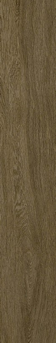 Керамогранит ColiseumGres Ducale 610010003504 20x120 см