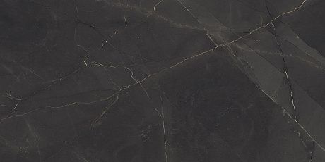   P321111216HG
