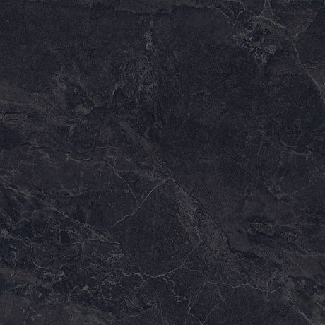   P231123008C