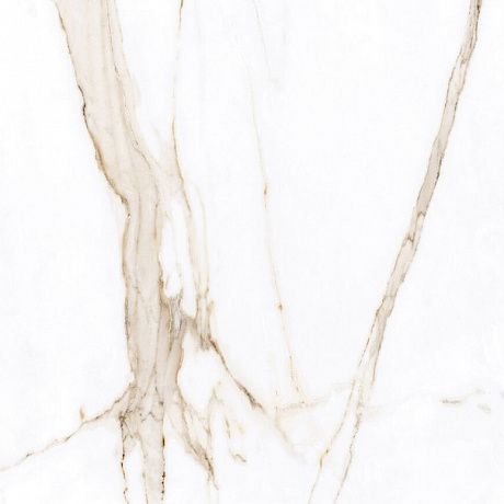   F3010821120G