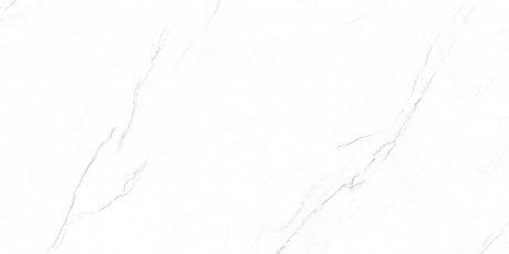   P231123009M