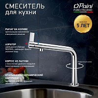 Paini Cucina 78CR579WSAKM