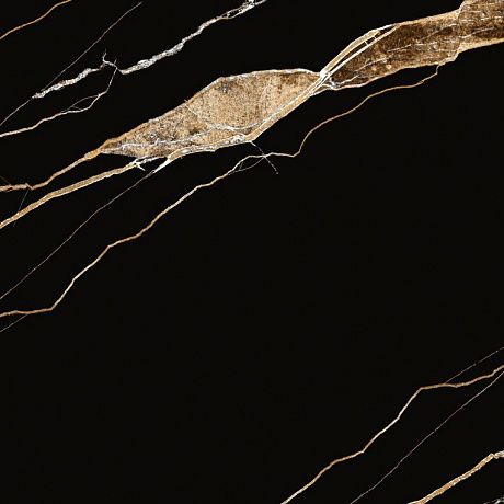   P3110821120HG