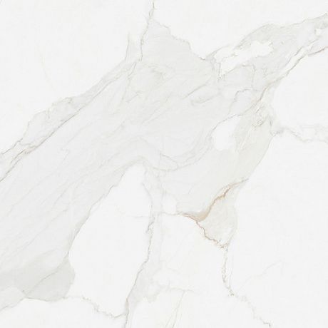   GBT750219