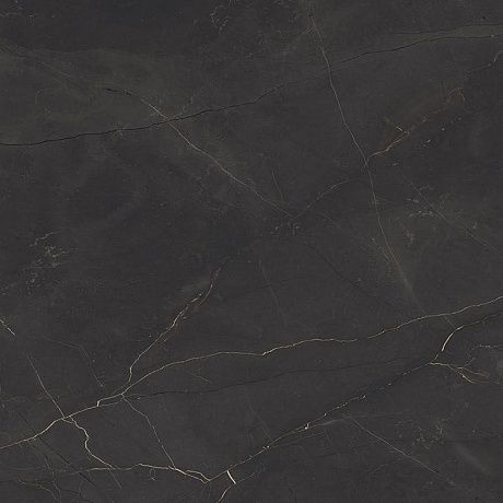   P321111216HG