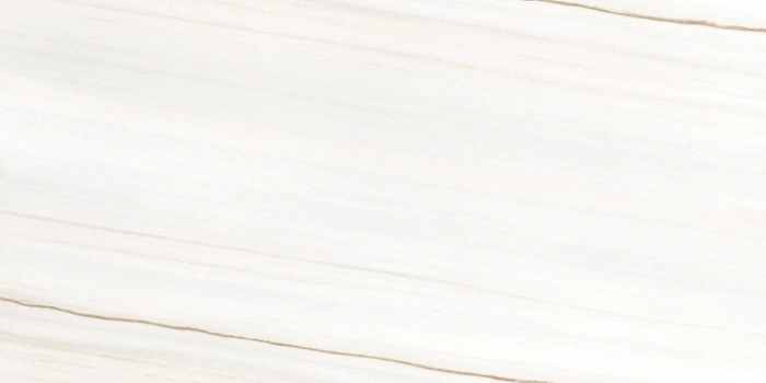 Керамогранит Rondine Ceramica Canova J88855 60x120 см